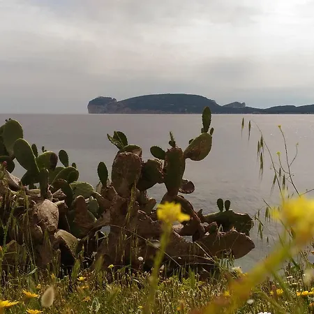 Da Marilu3 * Альгеро