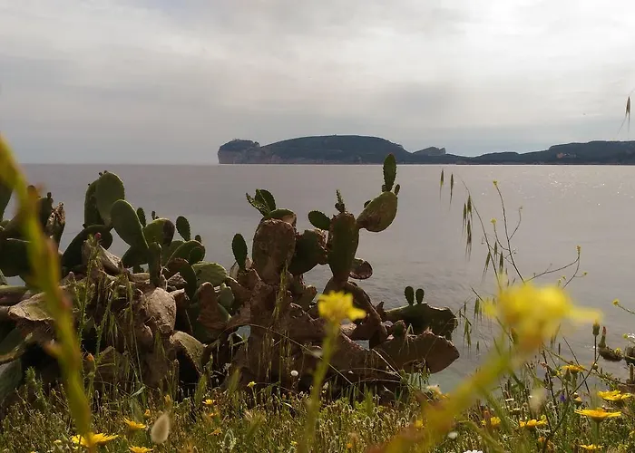 Da Marilu3 * Alghero